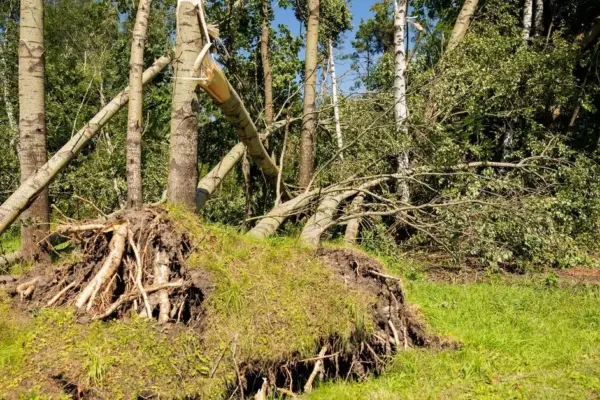Due to the consequences caused by the storm, the Vilnius district municipality is considering declaring an emergency situation