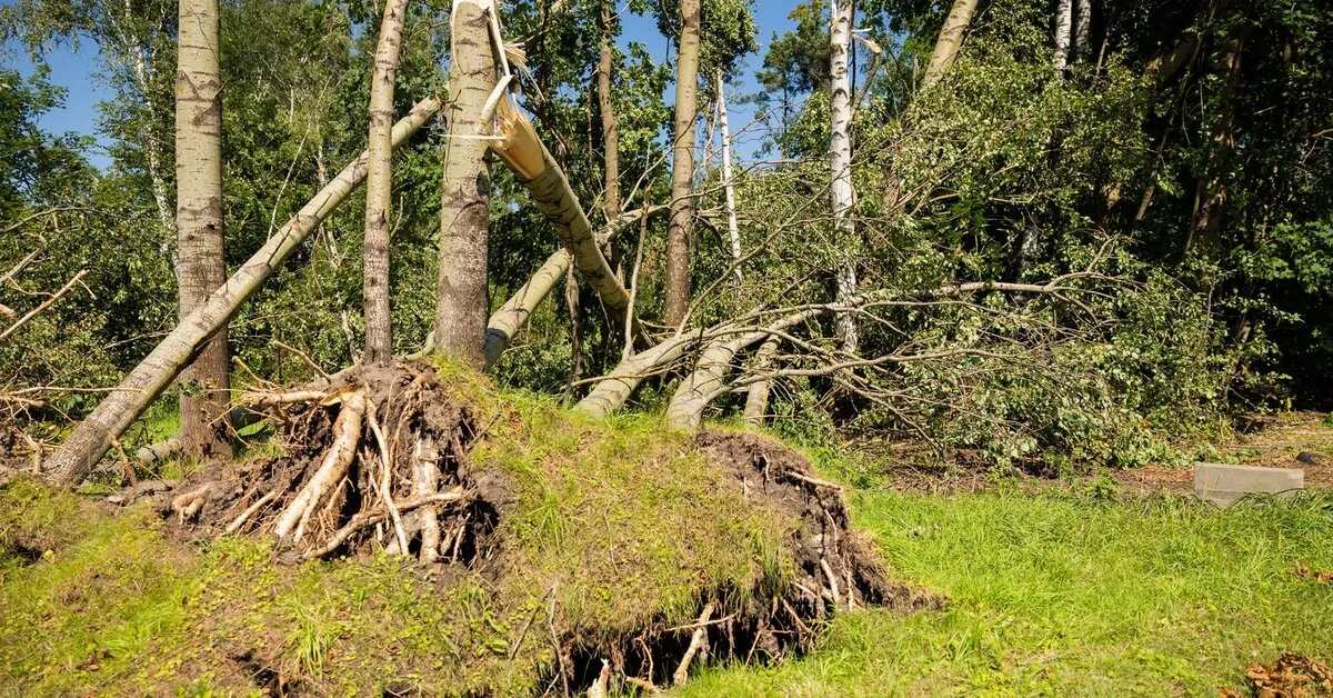 Due to the consequences caused by the storm, the Vilnius district municipality is considering declaring an emergency situation