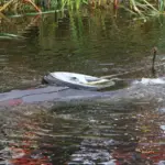 A car drove into a pond and overturned in Vilnius: the woman driving it was pulled out and revived