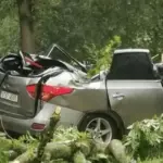 Near Kėdainiai, a tree fell on a car registered in the Czech Republic: details emerge about the injured passengers