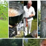 At the Museum of Ancient Beekeeping – the proclamation of the "Bee Republic" with Valinskas