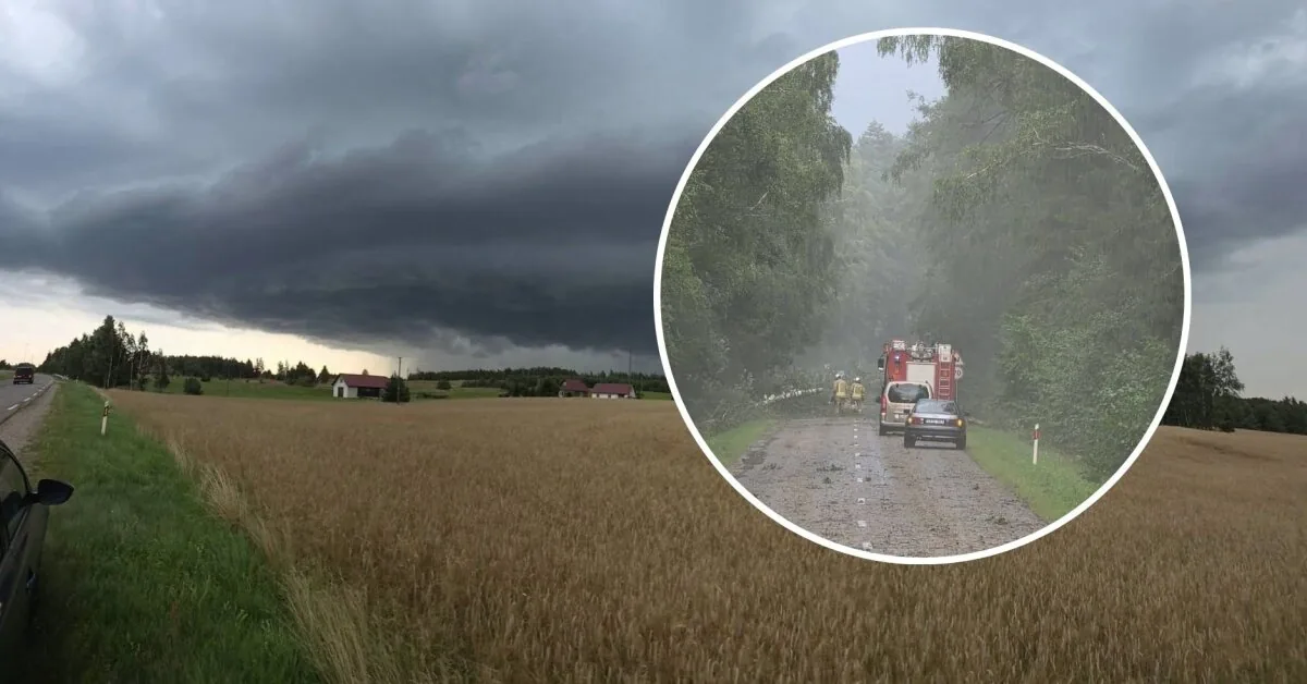 The weather forecaster became a witness to a powerful storm: told how it all happened