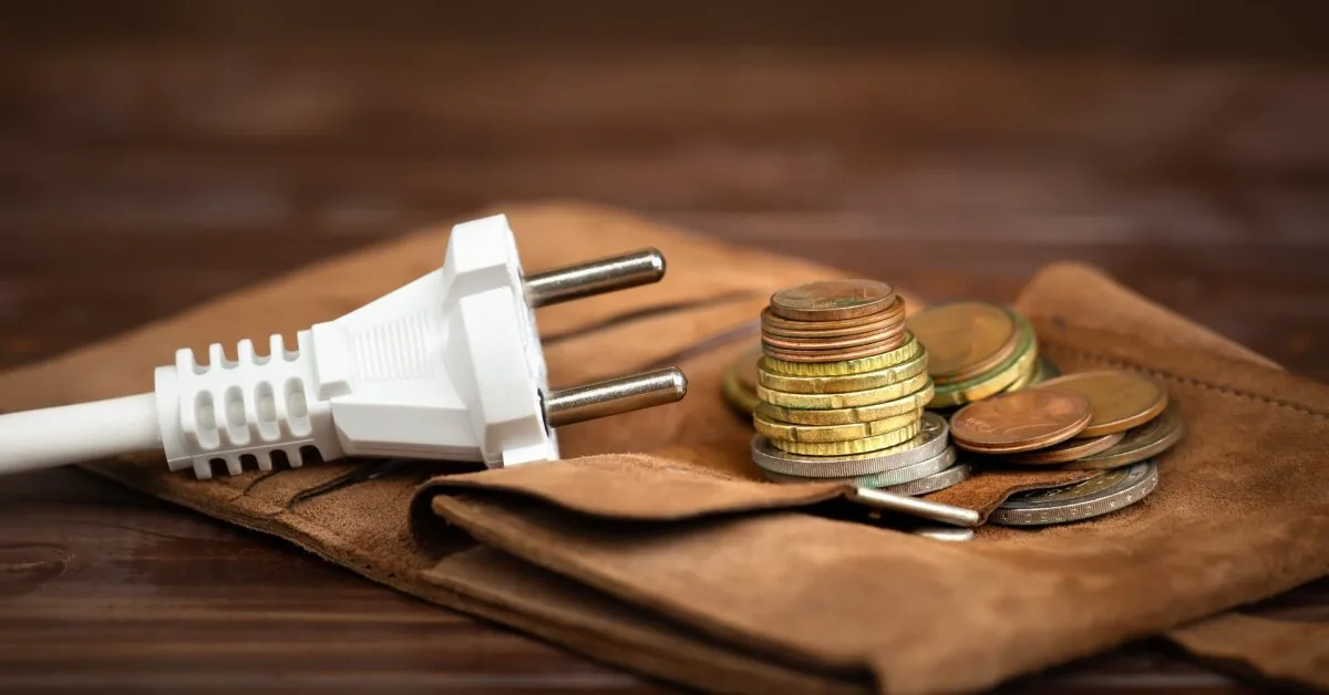 Electricity prices in July: Lithuanians pay 5 times more for electricity than Finns