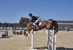 An open Lithuanian show jumping championship is taking place in Alytus district