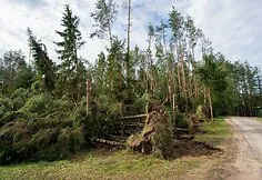 The storm caused a lot of damage in Druskininkai municipality
