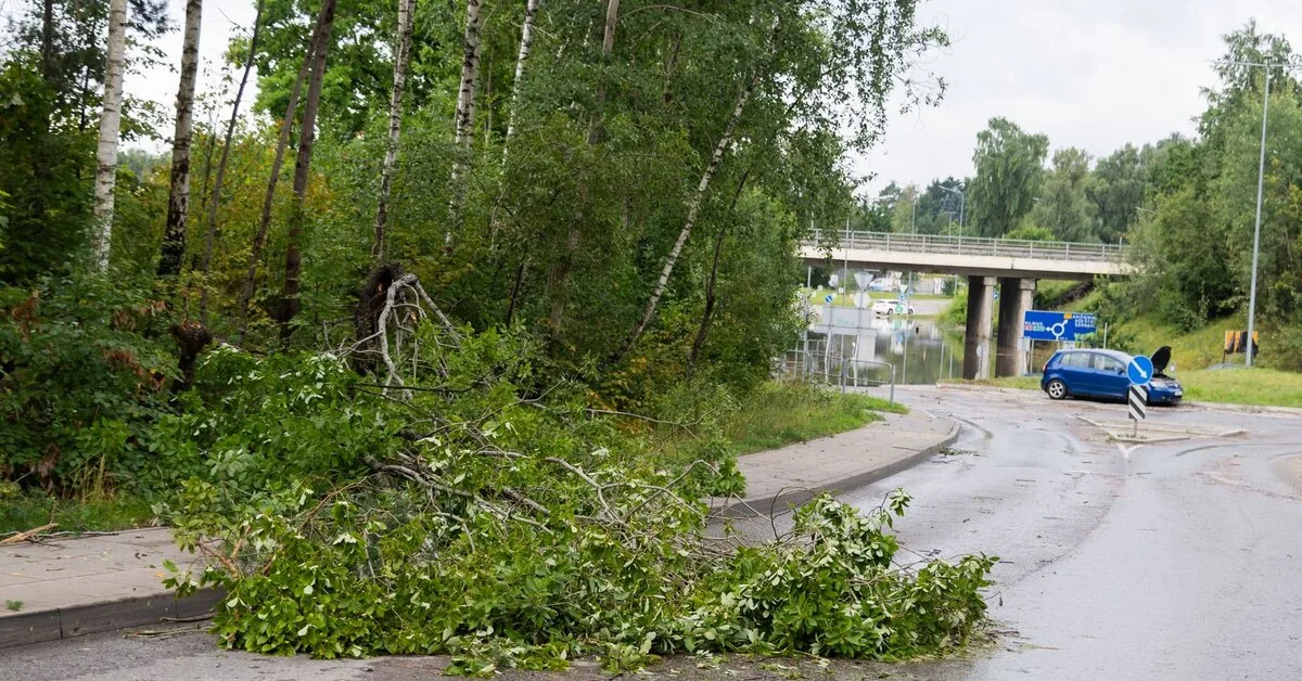 „Grinda“: possible street flooding and traffic disruptions in Vilnius on Thursday due to expected storm