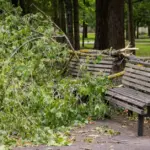 About 24 thousand ESO customers in Lithuania still do not have electricity