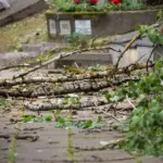 Raseiniai mayor summarized the situation in Lithuania: the consequences of the storms remain serious