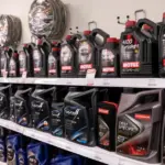 „SCT Lubricants“ owner transferred shares to the mother of the children