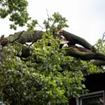 Seimas Energy Committee – for urgent EU company assistance during emergencies
