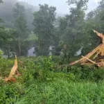 Audra devastated the historic homestead of partisan Juozas Jakavonis-Tigras in Kasčiūnai
