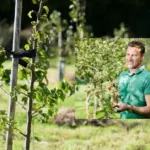 Gurskas answered why seedlings do not take root: shared golden rules