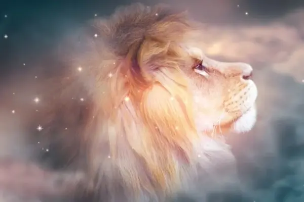 The opened Lion's gates will be special for 4 birth months: life can change dramatically