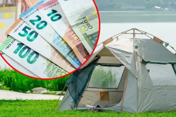 Dalia is shocked – friends returned from the forest with a fine: "How to know where it is allowed?"