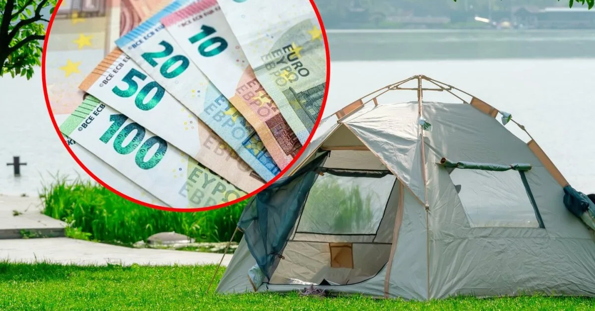 Dalia is shocked – friends returned from the forest with a fine: "How to know where it is allowed?"