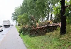 Consequences after a strong storm in Vilnius