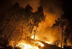 Forest fire in Spain