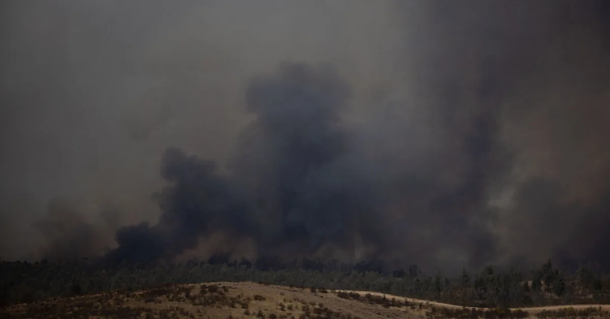 A forest fire rages in southwestern Spain, 470 people evacuated