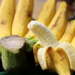This fruit can be dangerous: cardiologists warn who should avoid bananas
