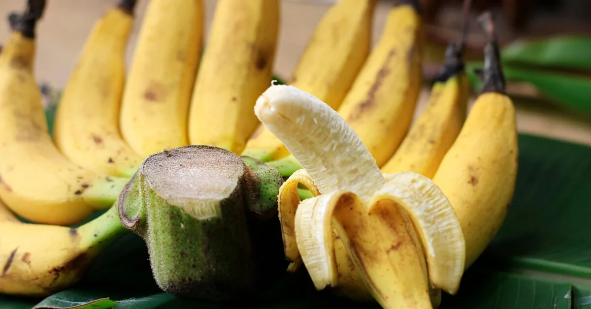 This fruit can be dangerous: cardiologists warn who should avoid bananas