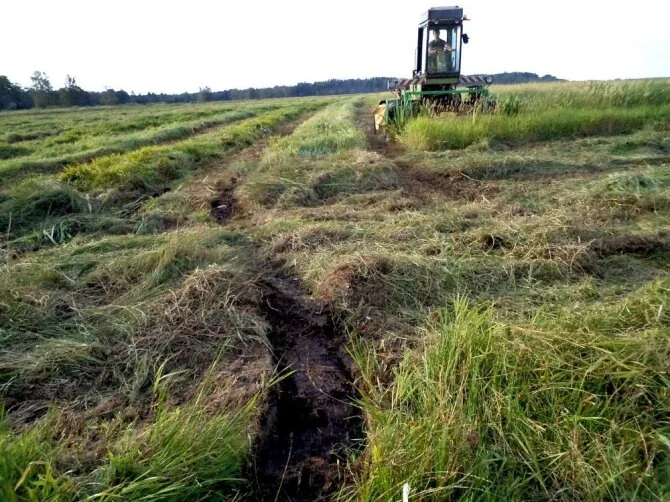 A.Aleksėjūnienė's photo/Haymaking in Sausgalviai