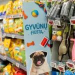 Exclusive offers on pet products: "Iki" offers the most popular ones for even half the price