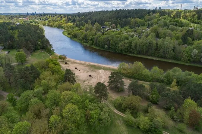 Vilniaus miesto savivaldybės nuotr./Valakampių paplūdimiai
