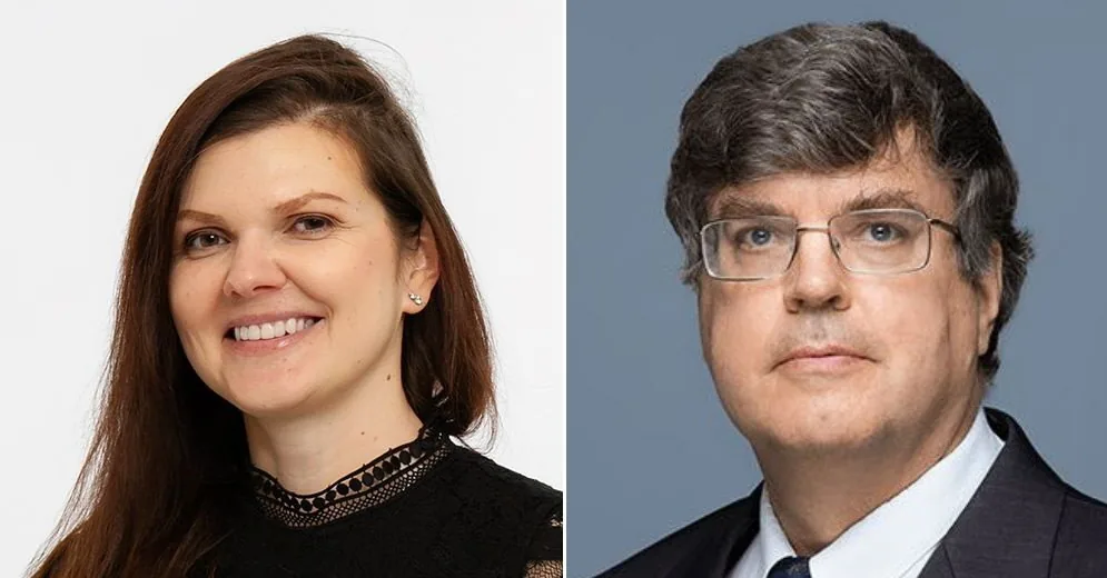 Vlada Dapkos, Arvydas Guogis. Once again about the Swedish Riksdag elections: public moods and forecasts