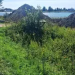 Work is underway at a popular swimming spot: residents suspect illegal activities