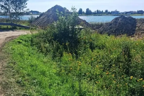 Work is underway at a popular swimming spot: residents suspect illegal activities