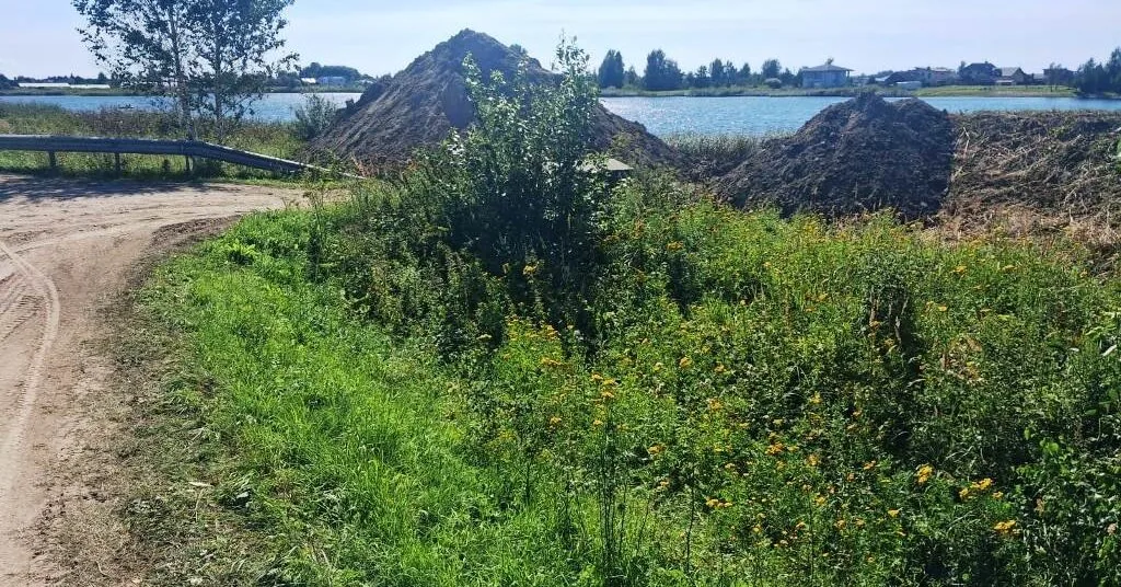 Work is underway at a popular swimming spot: residents suspect illegal activities