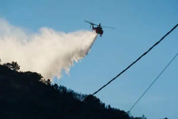 Forest fires in Europe: latest information