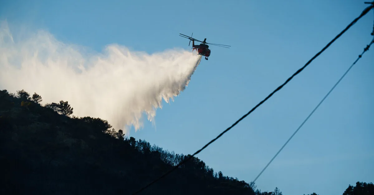 Forest fires in Europe: latest information