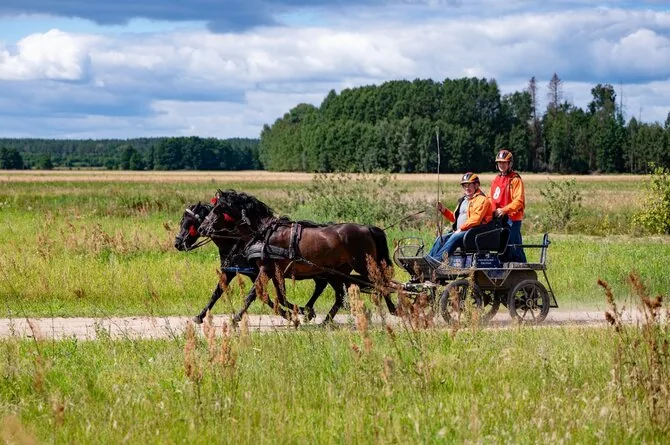 Photo by Eglė Baltrušaitienė/Endurance riding competition