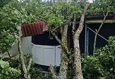 Storm-damaged Taujėnai Manor Park