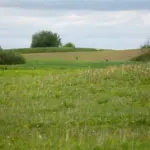 The DEMZ factory, a Ukrainian defense manufacturer, is expected to be built near Balbieriškis