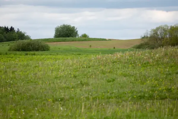 The DEMZ factory, a Ukrainian defense manufacturer, is expected to be built near Balbieriškis