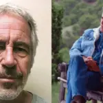 Jeffrey Epstein was back on screens: a new documentary film will be released in September