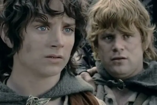 "Lord of the Rings" star spoke about low earnings: had to sell houses