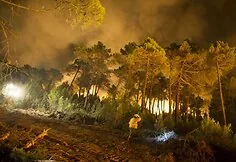 Forest fire in Spain