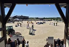 An open Lithuanian show jumping championship is taking place in Alytus district