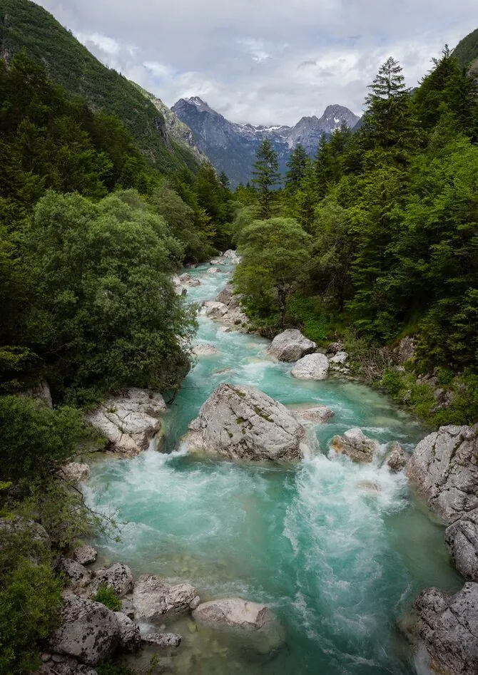 Asmeninio albumo nuotr./Slovėnijos Alpės