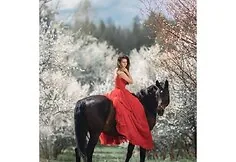 An elegant equestrian sport celebration at Pakruojis Manor: unbelievable, but everyone can join at the start
