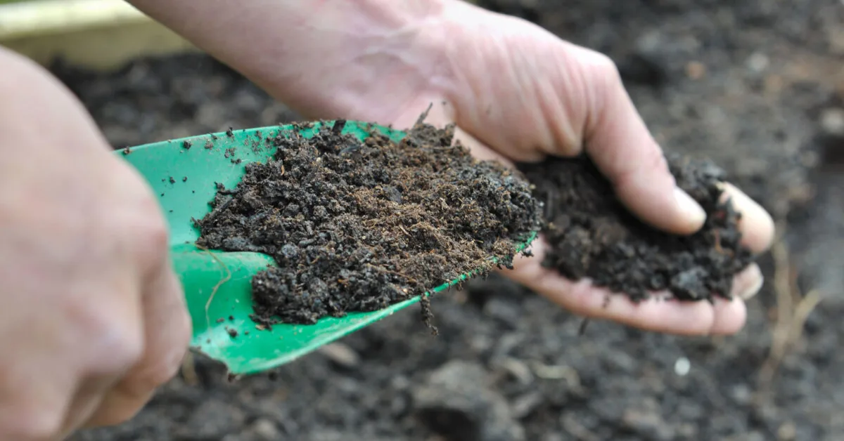 Composting reduces pollution, but hides an unexpected problem