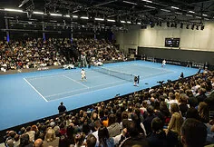 Ričardas Berankis - Jo-Wilfredas Tsonga