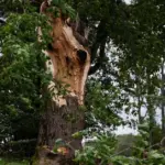 Meteorologist compared: Is this storm in 2024 worse?