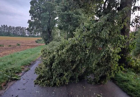 Storm aftermath in Eišiškės and surroundings