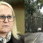 The disaster also struck Seimas member Ligita Girskienė