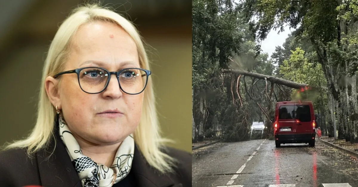 The disaster also struck Seimas member Ligita Girskienė