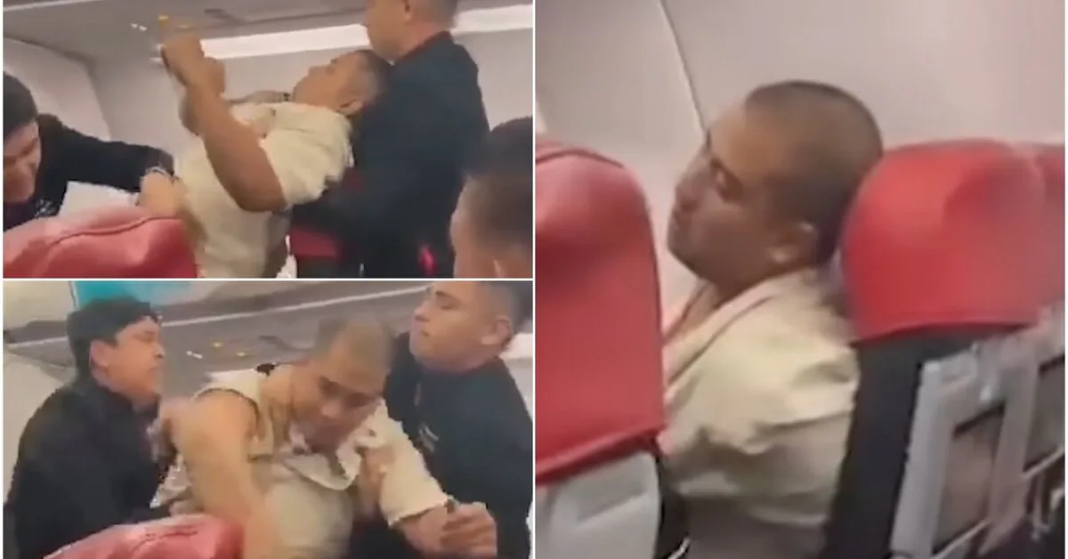 Nightmare at 10 kilometers high: the crew had to tie a screaming passenger to the seat